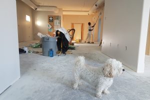 home improvement
